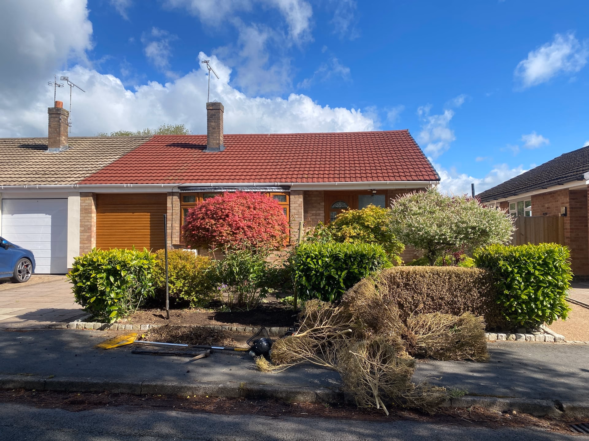 Dead and discoloured box hedge before removal in Stapeley
