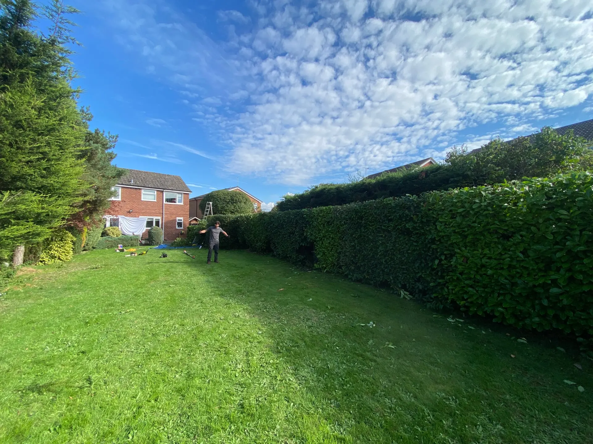 Tall Willaston boundary hedge after it was cut back and shaped